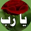 dyepcqvo7cvx