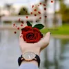 39mlppp