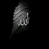 usumair786