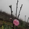 thithuthuytran116