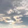 dyb7slx0d5mr