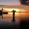 prvrhai_xynn