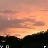 lisondev09