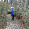 sulistya868