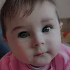 alndrekani77
