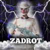 _zadrot_pubg