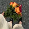 fatima.nmaret