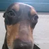 mottita_00