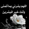 user8289563579443