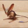 muisschaduw