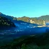 kojyuavkuvyuamkev1