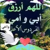 user88497048687490