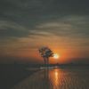 story_todd