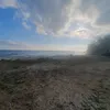 alinurluceanu575