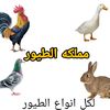 user671181384