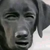 folitacie