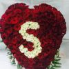 saaaaa_66