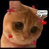 dy9idkwxqlu4