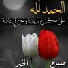 hamidbaraka956
