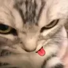 arihxa