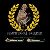 SEMPITERNAL BREEDER