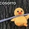 patito___23