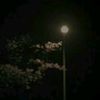 isabelidcen18