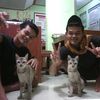 fix_ragil