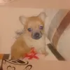 martinakenny9