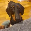 christineshaw63