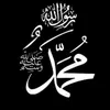 habibgull3812