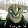 uoaily