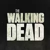 twd._.fan11