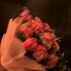 safy.alkhlani