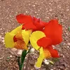 mariahonorato619