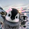 naily_ptry