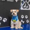liliana_020720