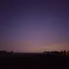 dani10_75