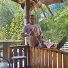 carloszezinho8
