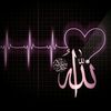 seryna_ammits