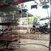 zaelanibirdshop