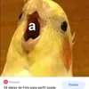 d_corrado