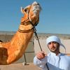 jaleel.baloch007