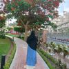 a_shvhd