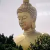 prasit23112520