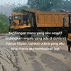 tl855br
