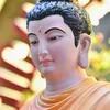 ngua_bach161616