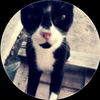 oliver7siu