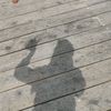 _pipitt8
