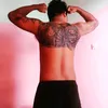 tuan.muda46